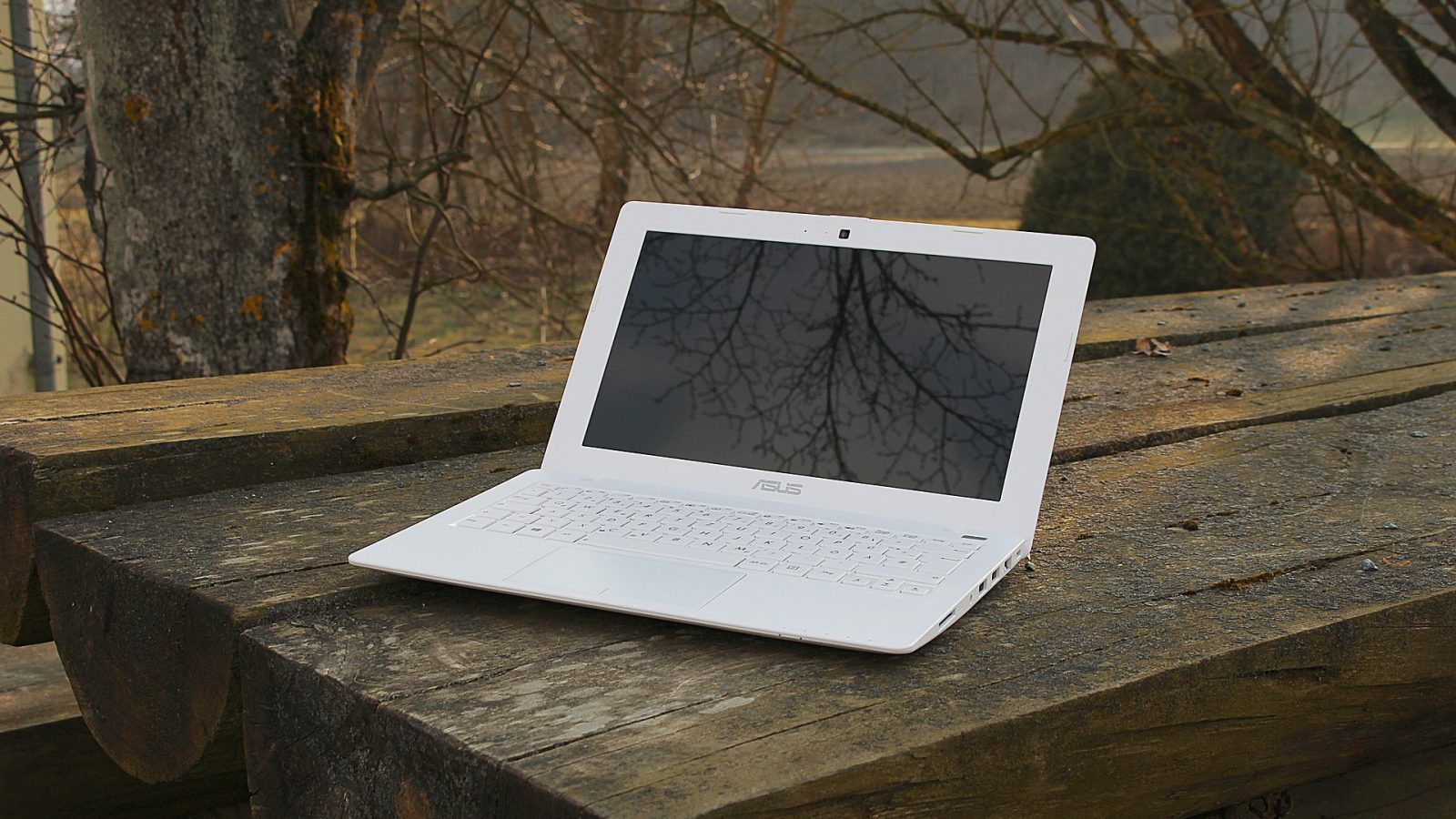laptop travel blogger