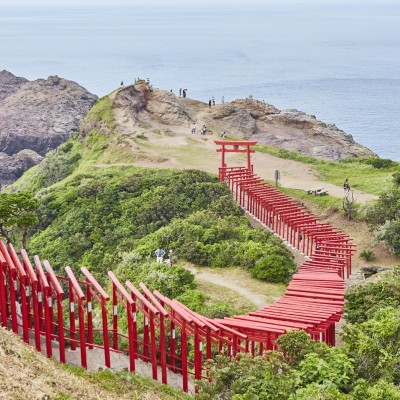 Japan welcomed 24.04 million visitors in 2016, up 2.4 fold over three years