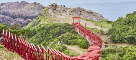 Japan welcomed 24.04 million visitors in 2016, up 2.4 fold over three years