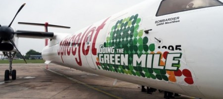 Can biofuel save the stressed Indian aviation sector?